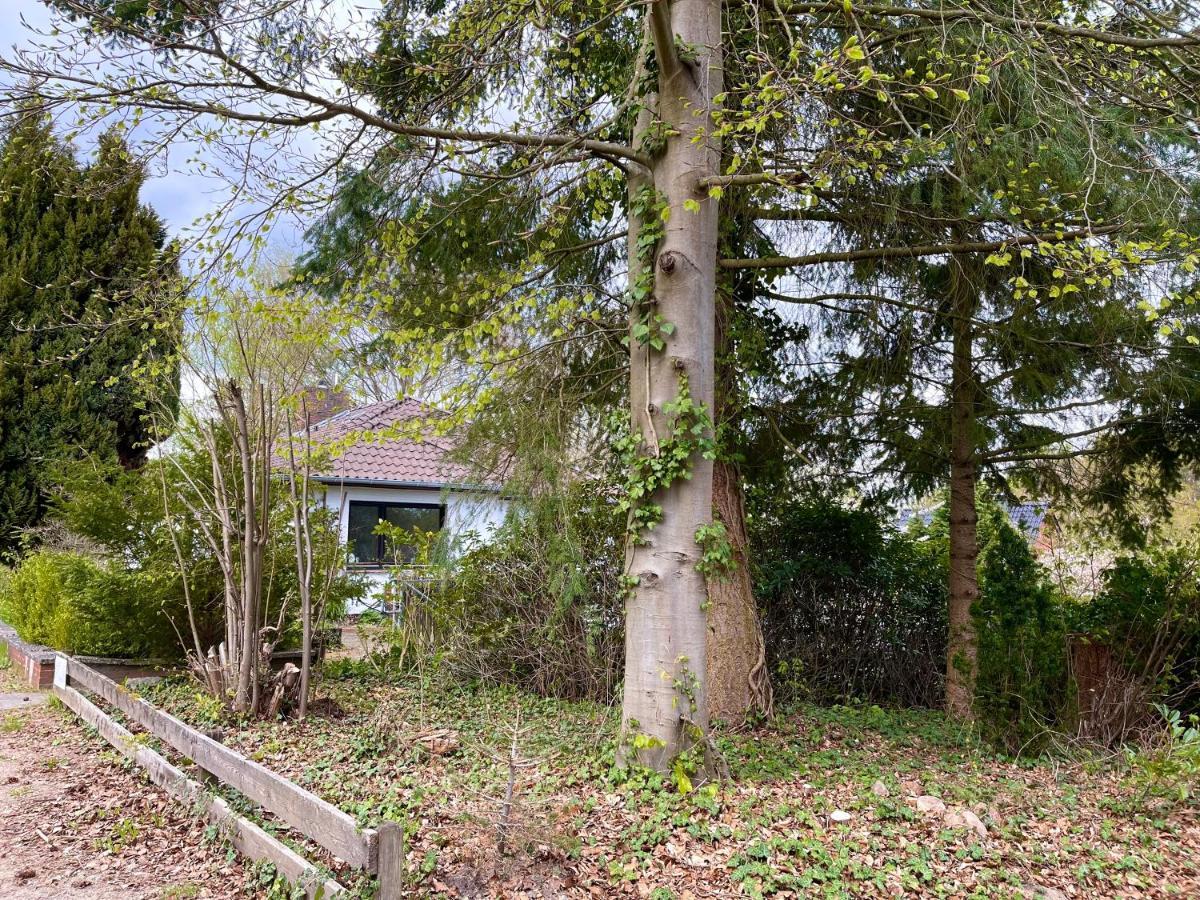 Ferienwohnung Hitzacker/Elbe Exterior photo